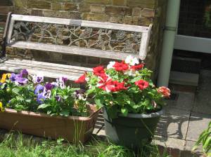 Garden Bench with flowers